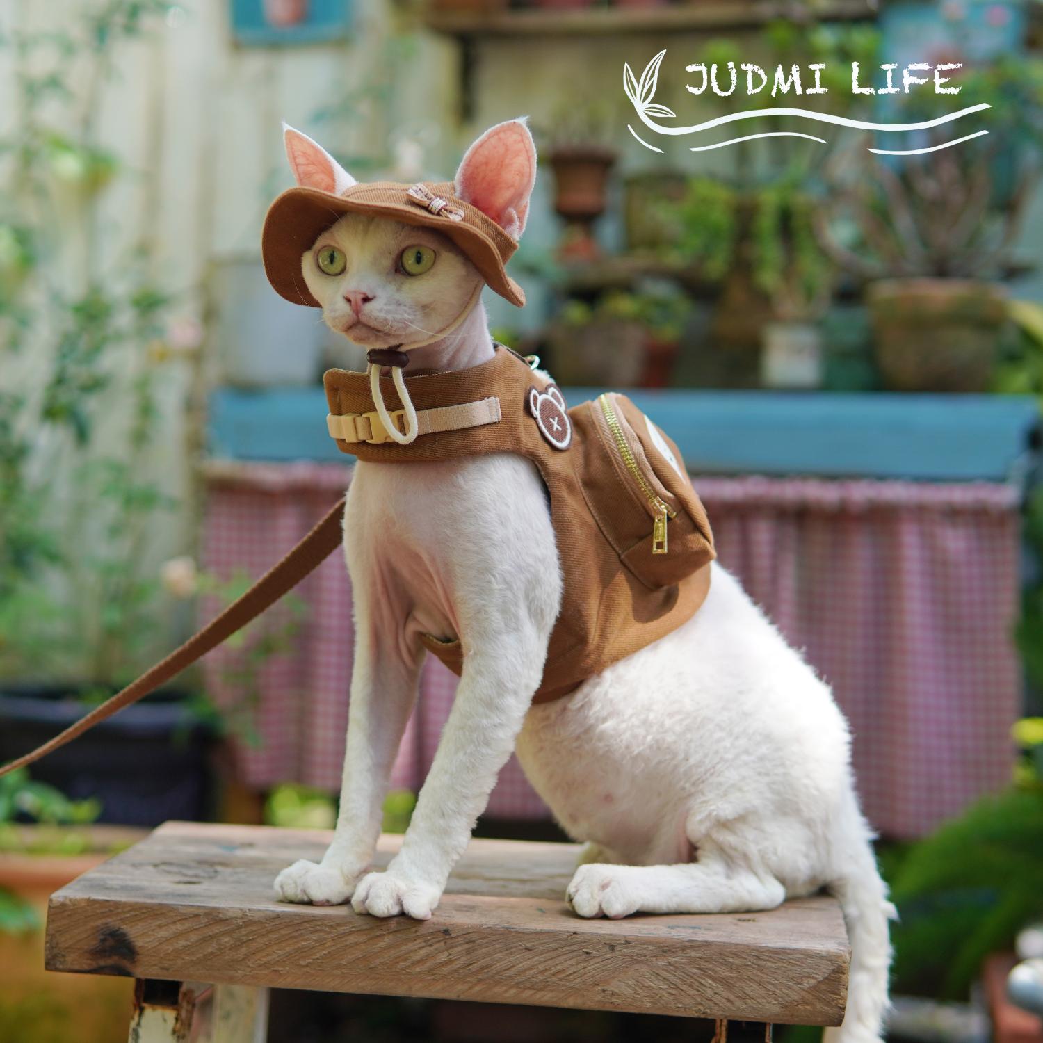 Luxury Travel Devon Cat Carrie - Luxury Bags Cute 评论和价格